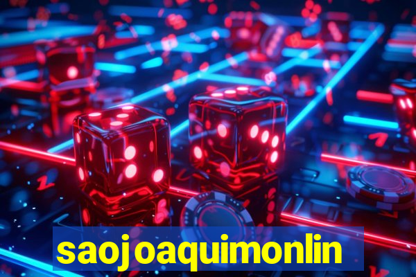 saojoaquimonline