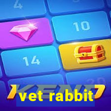 vet rabbit