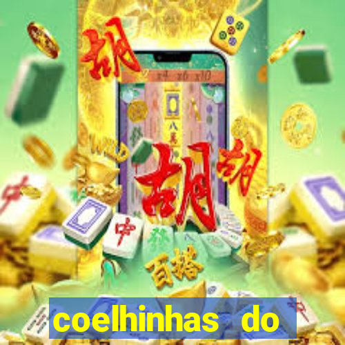 coelhinhas do brasil jp