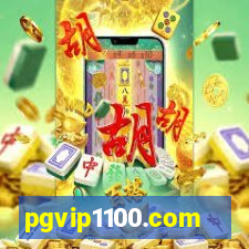 pgvip1100.com