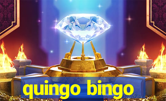 quingo bingo