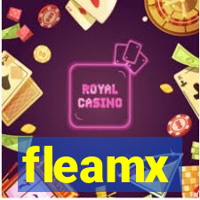 fleamx