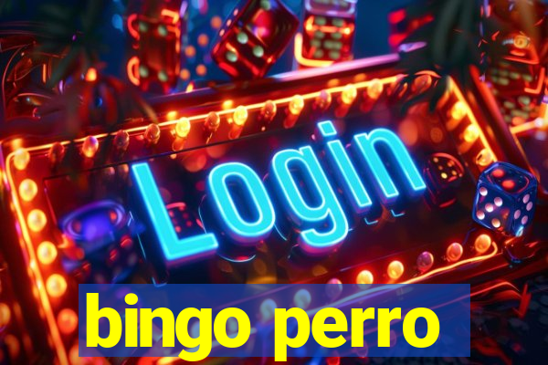 bingo perro