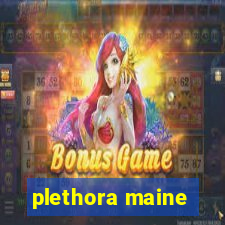 plethora maine