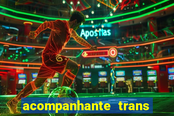 acompanhante trans em santos