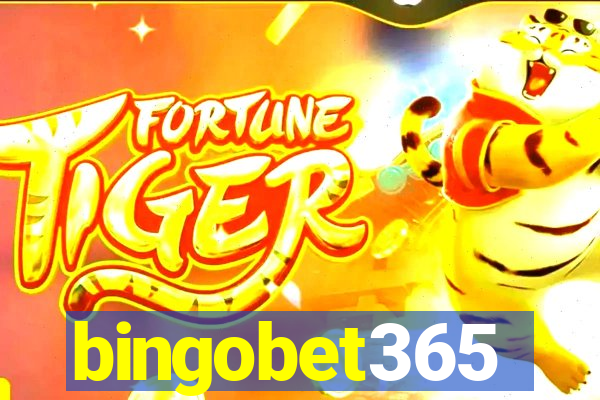 bingobet365