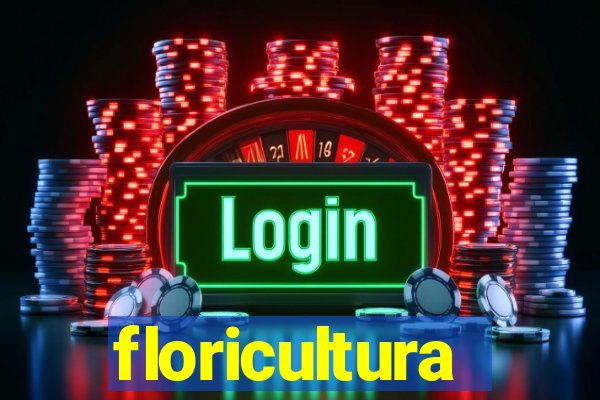 floricultura cruzeiro novo