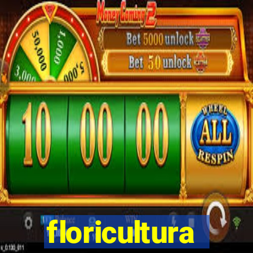 floricultura cruzeiro novo