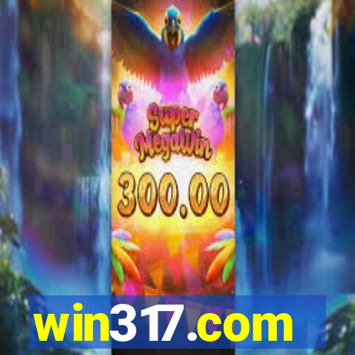 win317.com