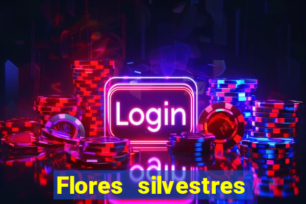 Flores silvestres brasileiras 25