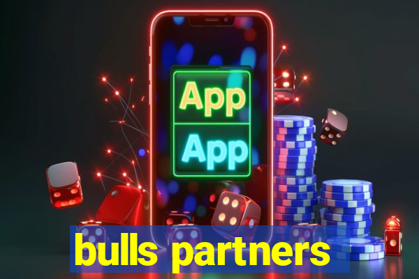 bulls partners