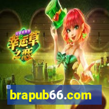 brapub66.com