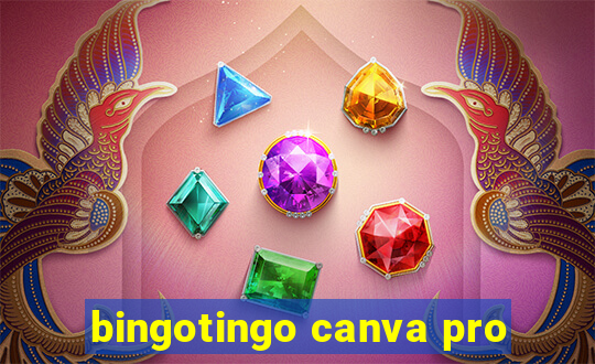 bingotingo canva pro