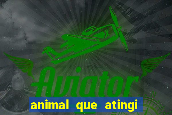 animal que atingi 230 decibeis