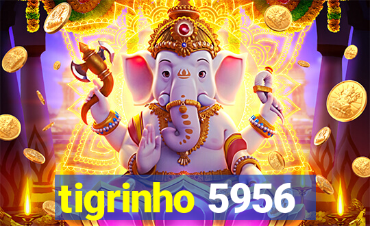 tigrinho 5956