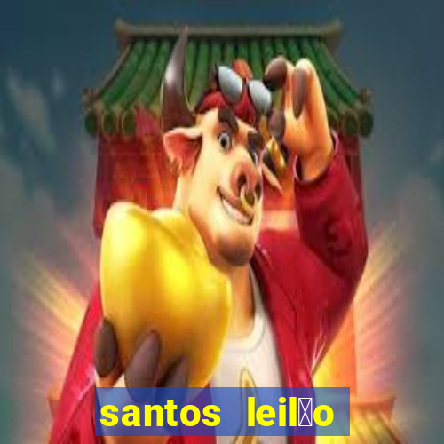 santos leil茫o passo fundo