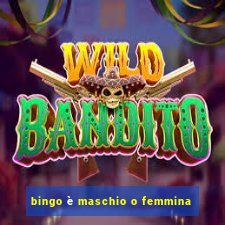 bingo è maschio o femmina