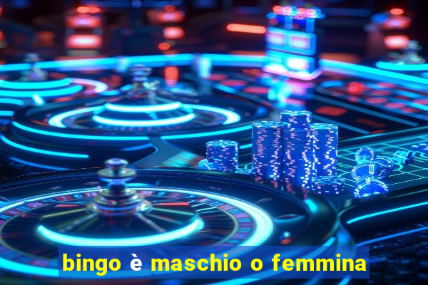 bingo è maschio o femmina