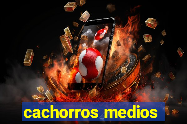 cachorros medios