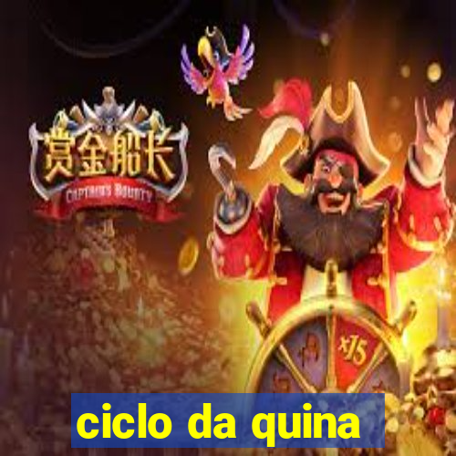 ciclo da quina