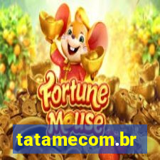 tatamecom.br