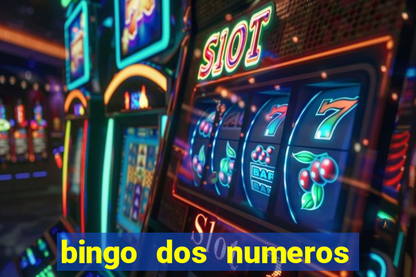 bingo dos numeros de 1 a 30