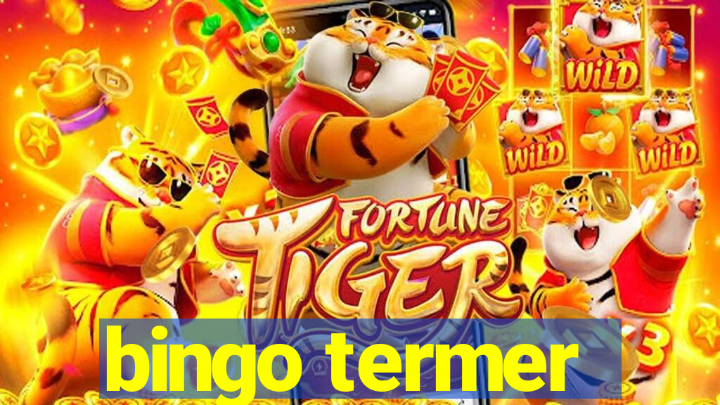 bingo termer