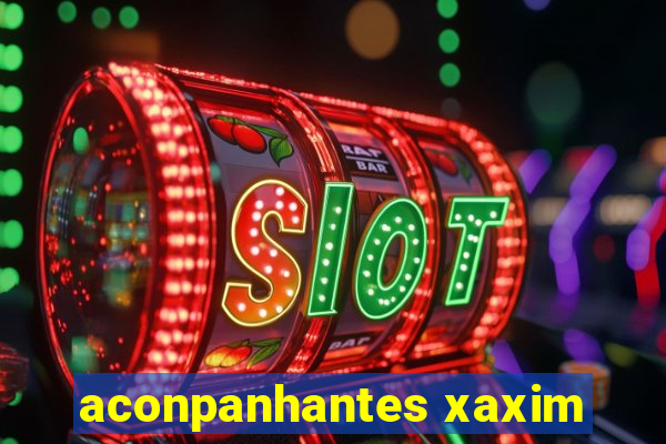 aconpanhantes xaxim