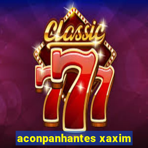 aconpanhantes xaxim