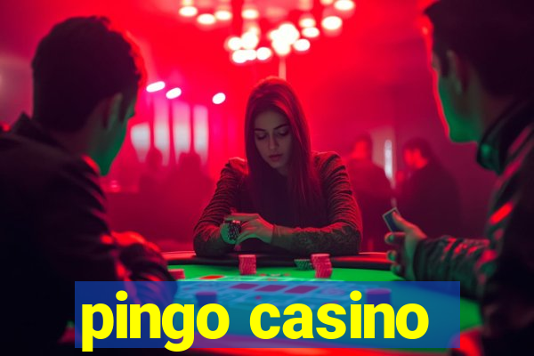 pingo casino