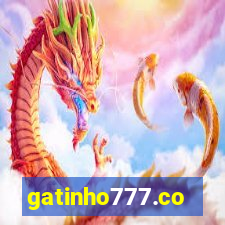 gatinho777.co