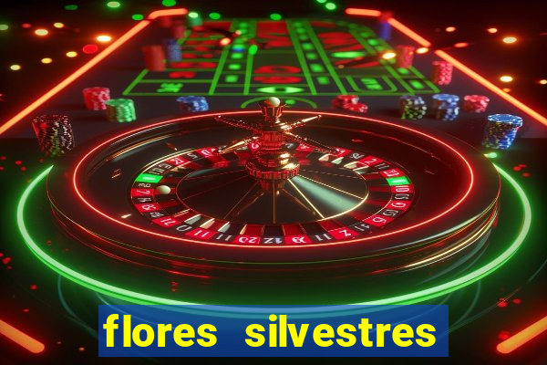 flores silvestres desbravadores desbravadores 25