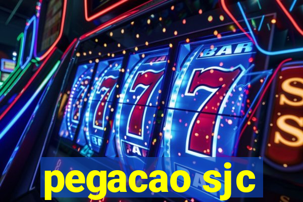 pegacao sjc