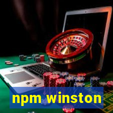 npm winston