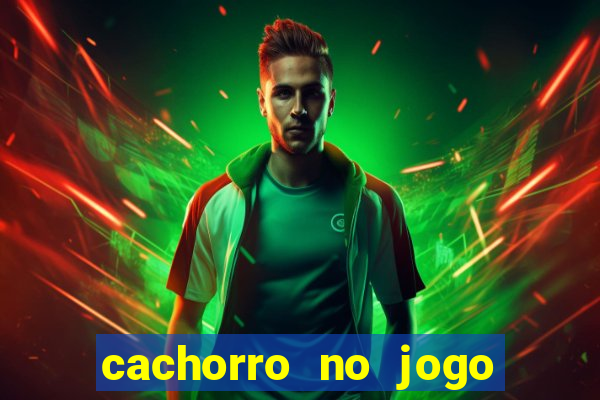 cachorro no jogo do bicho