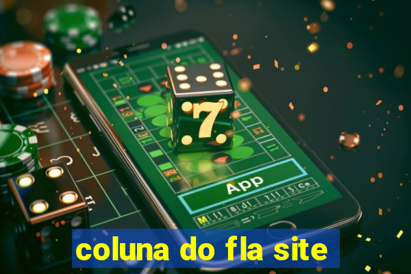 coluna do fla site