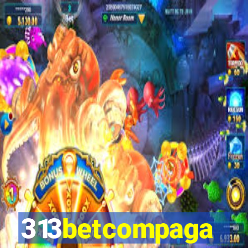 313betcompaga