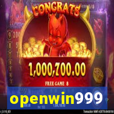 openwin999