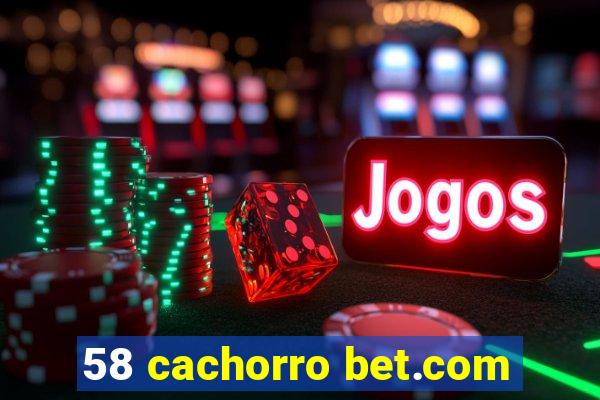 58 cachorro bet.com