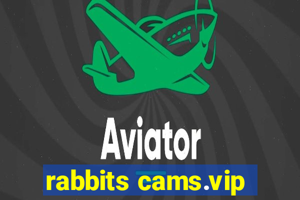 rabbits cams.vip