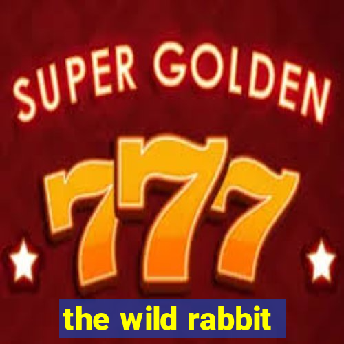 the wild rabbit