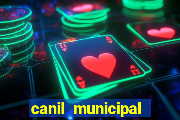 canil municipal porto alegre