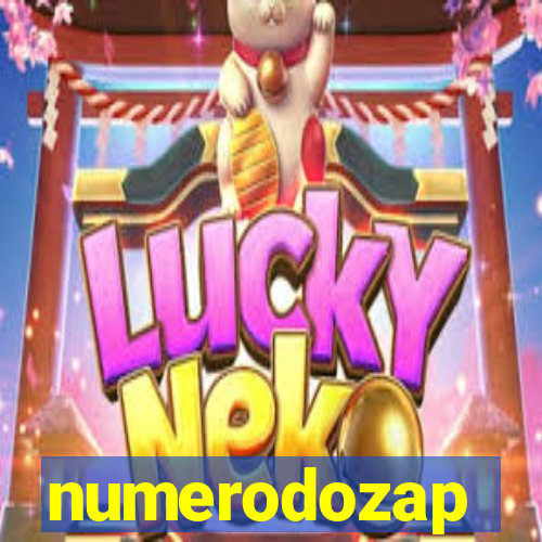 numerodozap