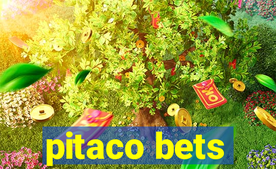 pitaco bets