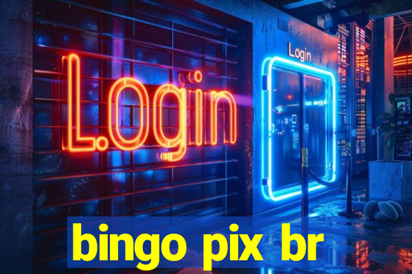 bingo pix br