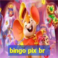 bingo pix br