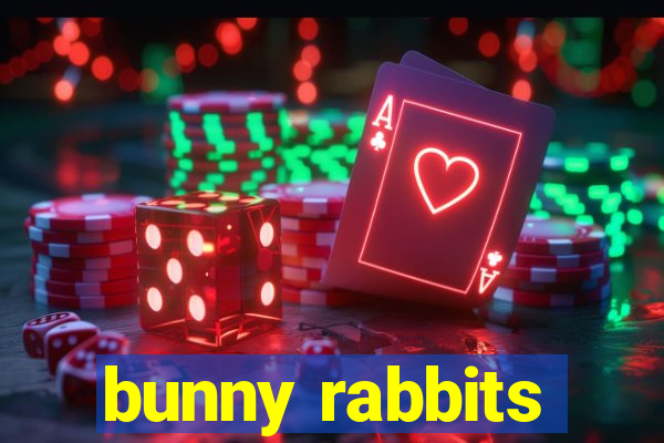 bunny rabbits