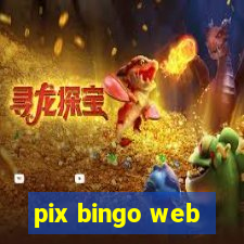 pix bingo web