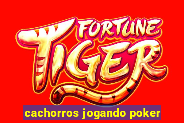 cachorros jogando poker