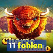 11 fohlen